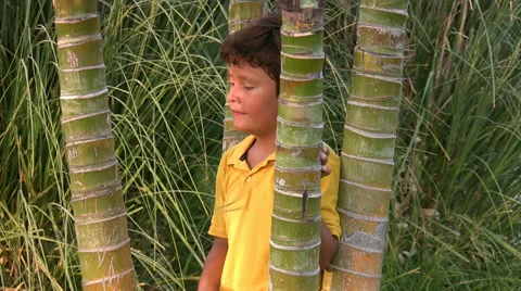 Child playing in the garden Stock-Footage 41818075