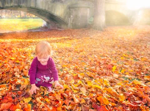 Child playing with hands through fallen leaves Stock Photos
