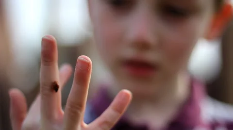 Child playing with Ladybird Stock Footage 46723534