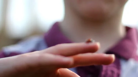Child playing with Ladybird Stock Footage 46723616