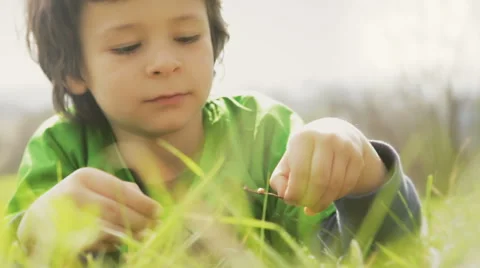 Child is playing with a ladybug lay down on grass outdoor in sunny day 動画素材 64479611