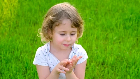 Child playing with ladybug. Selective focus. Stock Footage 313344145