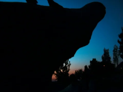 Child Playing on Log Stock Footage 94634301