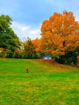 Child playing outdoors on autumn day Stock Photos