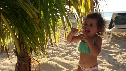 Child playing with palm tree on sand beach on Aruba island in Caribbean Sea Stock Footage 239644733