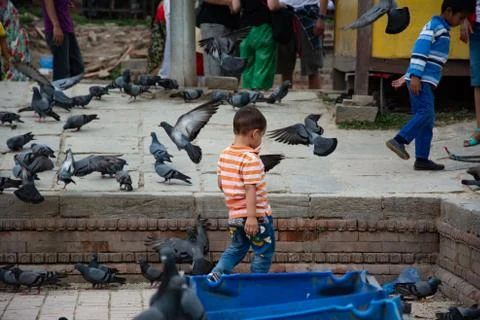 Child Playing With Pigeons Foto stock