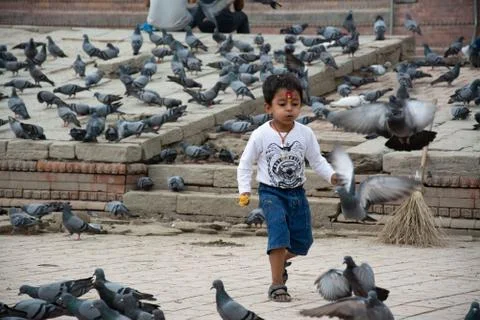 Child Playing With Pigeons Stock Photos