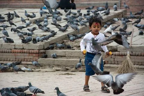 Child Playing With Pigeons Stockfoto's