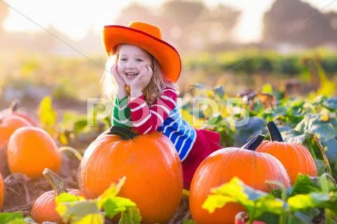 Child Playing On Pumpkin Patch