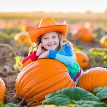 Child playing on pumpkin patch Foto stock