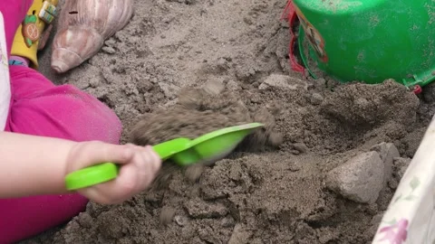 Child playing in the sandbox Video stock 242721931