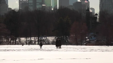 Child Playing In Snow In Central Park New York Video stock 37106967