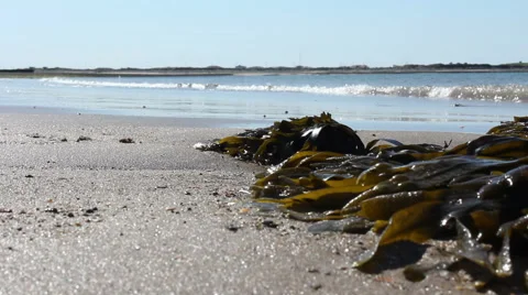 Child Playing On A Sunny Sandy Beach Stock Footage 60745697