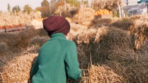 Child to playing tag while pumpkin harvest 库存影片 80868507