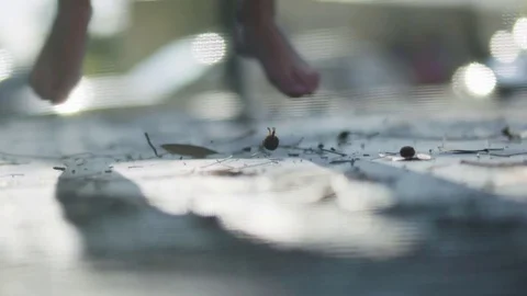 Child playing on trampoline Stock Footage 76726889
