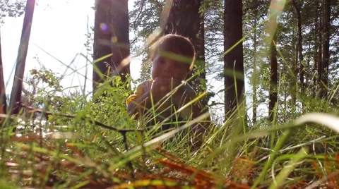 Child playing in the woods 库存影片 54582006