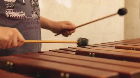 Child playing xylophone Stock Footage 164324794