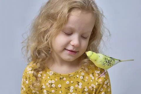 A child plays with a budgie. Interaction between children and pets Stock Photos