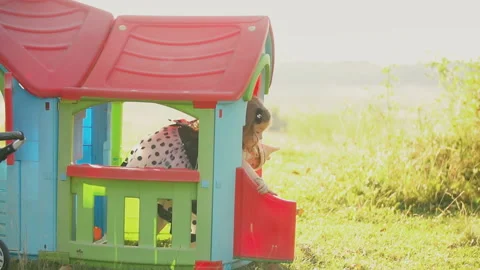 Child plays with a doll Stock Footage 129538177