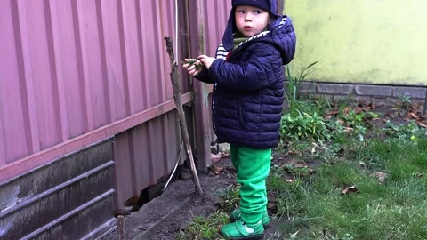 Child plays Stock Footage 164579780