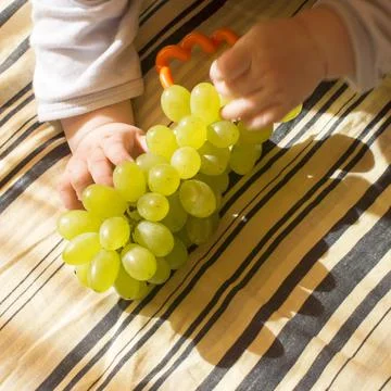 A child plays with a grape Stock Photos