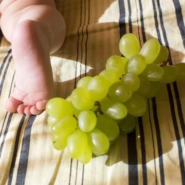 A child plays with a grape Foto stock