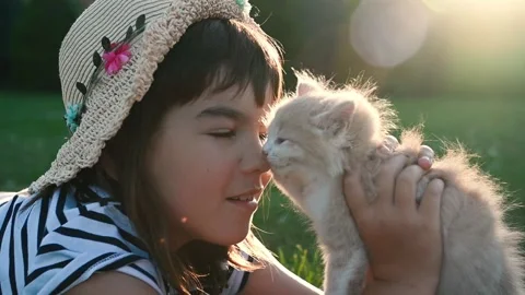 Child plays on the grass in summer with a kitten at sunset close-up.  Stock Footage 270497536