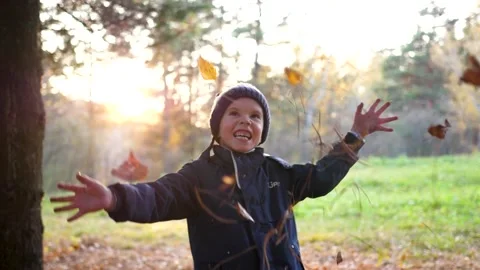 The child plays in the Park, throws up the leaves. The sun's rays penetrate the Stock Footage 140745346