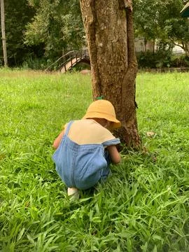 A child plays in the park under a tree Stock Photos