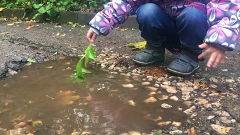 A child plays in a puddle with a green leaf. Rainy weather outdoor games Stock Footage 215739626