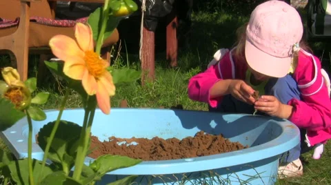 The child plays sand in an apple-tree garden Stock Footage 50126097
