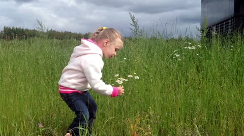 Child plucks a daisy in a field Stock Footage 41550070