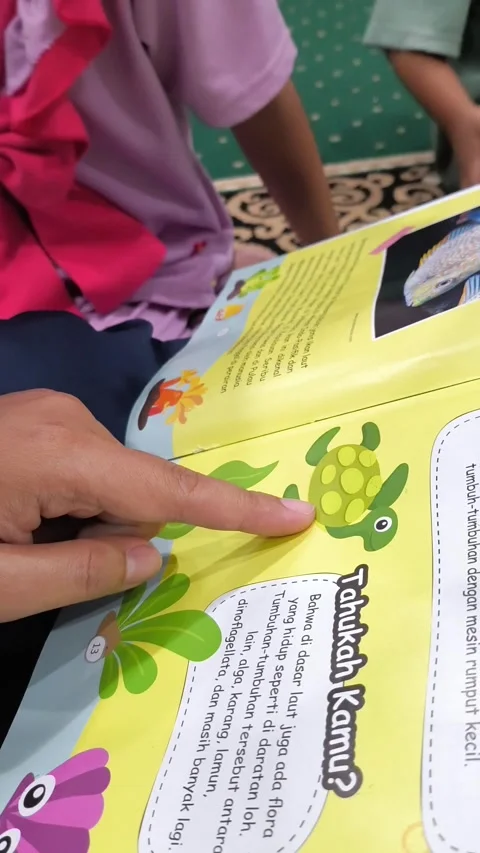 Child points to a turtle on a colorful learning page Stock Footage 341536330