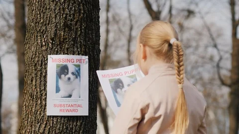 A child with a poster about his missing dog. Pet search Stock Footage 118047277
