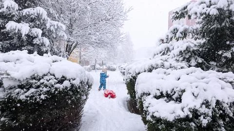 Child Pulling Red Sled Through Snowy Residential Street During Winter Snowfal Foto stock