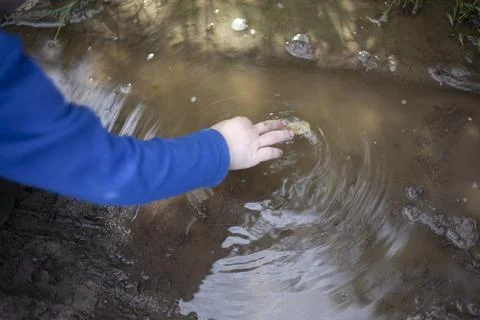 Child pulls dirt out of puddle. Child touches water. Boy searches for object  Stock Photos
