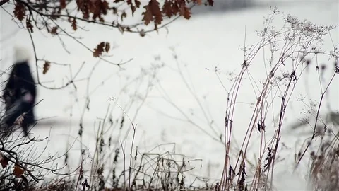 Child pulls a sled behind him he saw behind some tall grass heading for tobog Stock Footage 72266114