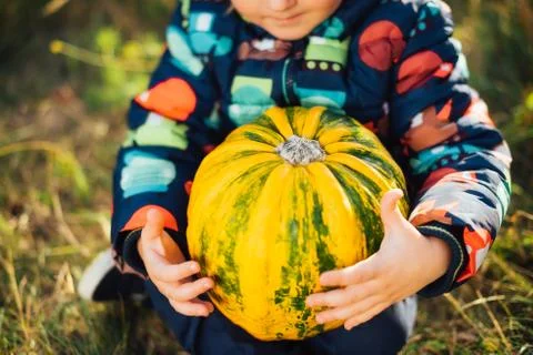 A child with a pumpkin Stock Photos