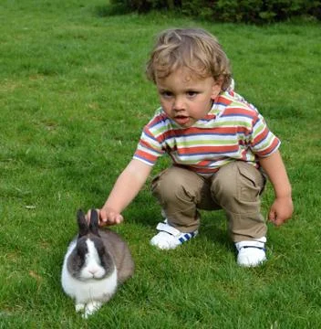 Child with rabbit Stock Photos