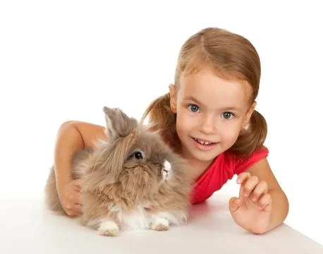 Child with a rabbit. Stock Photos