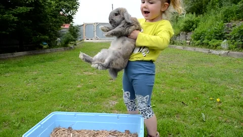 Child with rabbit in summer time Stock Footage 157081991