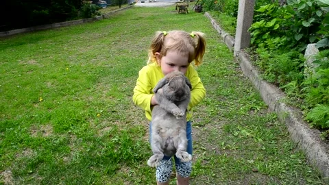 Child with rabbit in summer time Stock Footage 157082554