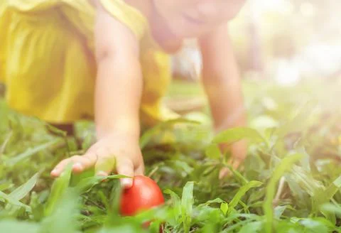 Child reaching for a red easter egg Stock Photos
