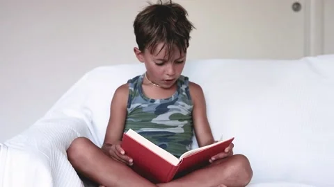 Child reading a book seated on the sofa Stock-Footage 138430013