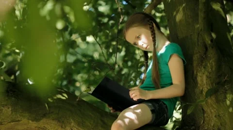 Child reading in a tree Stock Footage 22665524