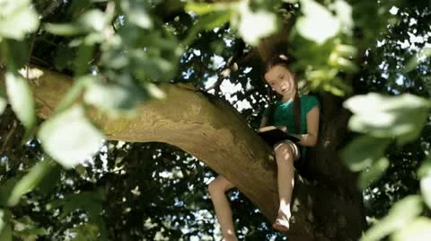 Child reading in a tree Stock Footage 22665539