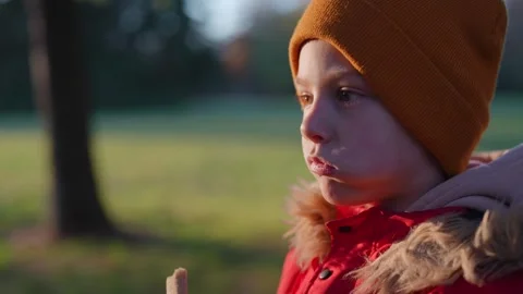 Child in a red jacket looking into the distance during a calm autumn evening. Stock Footage 292918131