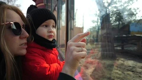 A child in a red jacket looks at the animals through the fence. Zoo Stock Footage 270889726