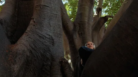 Child relax while sitting on a large tree branch in a natural setting 動画素材 337498325