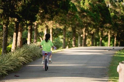 Child Riding Bicycle on a Tree-Lined Pathway in a Bright Green Park During .. Stock Photos